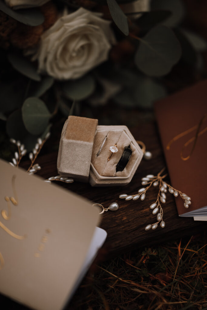 tatianasardozphotography-bcelopementpackages-britishcolumbiaelopement-elopebritishcolumbia-bcelopement-vancouverelopementphotographer-garibaldielopement-2.jpg